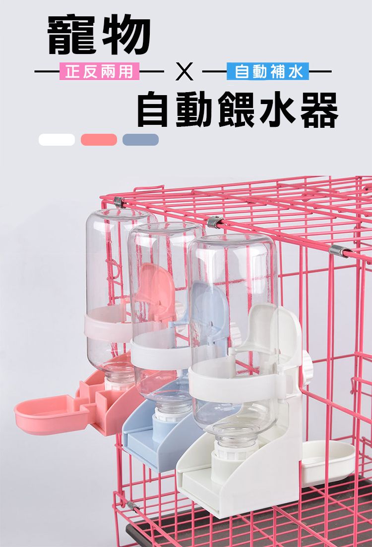 寵物  自動補水自動餵水器
