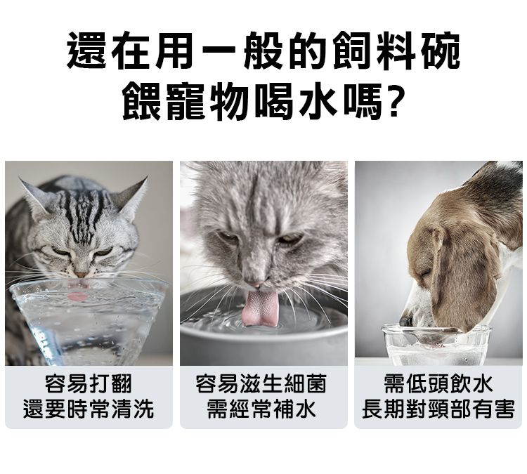 還在用一般的飼料碗餵寵物喝水嗎?容易打翻容易滋生細菌需低頭飲水還要時常清洗需經常補水長期對頸部有害