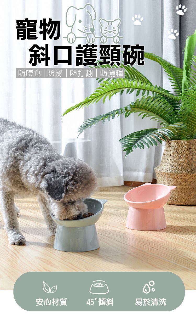 寵物斜口護頸碗防噎食|防滑防打翻|防灑糧安心材質45傾斜易於清洗