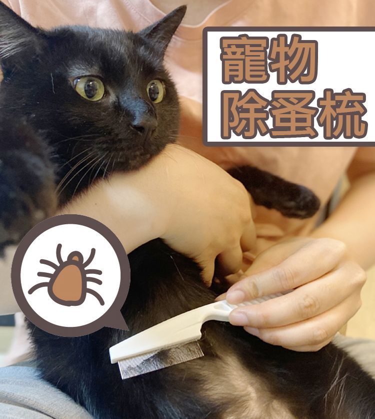 寵物除蚤梳