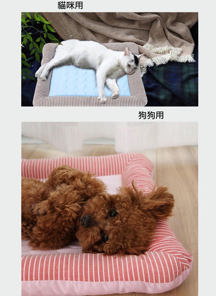 貓咪用狗狗用