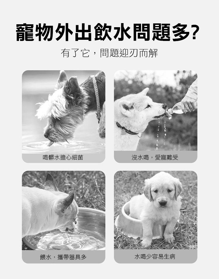 寵物外出飲水問題多?有了它,問題迎刃而解喝髒水擔心細菌沒水喝,愛寵難受餵水,攜帶器具多水喝少容易生病