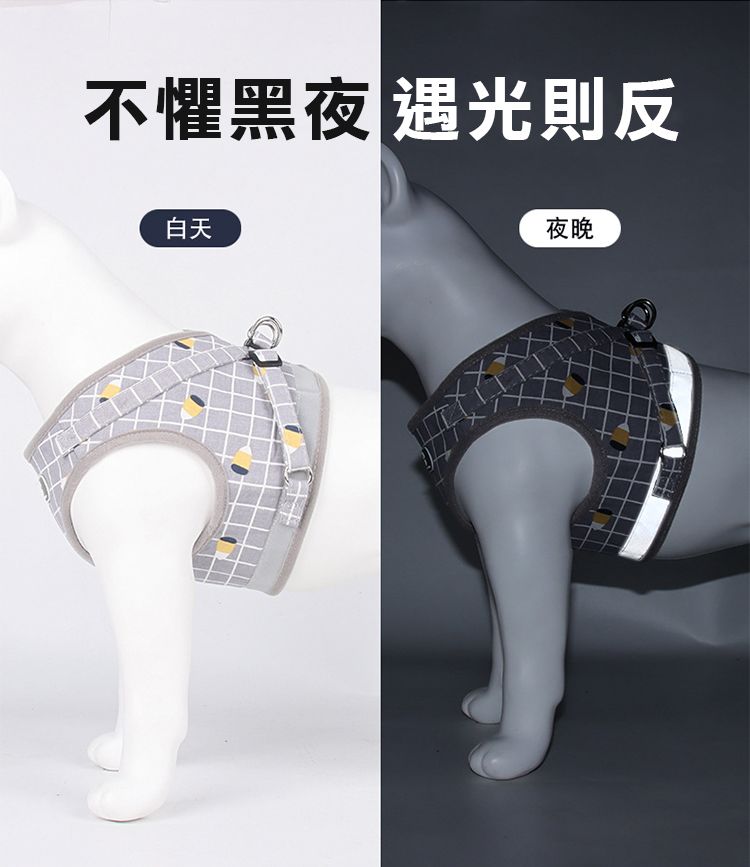 不懼黑夜 光則反白天夜晚