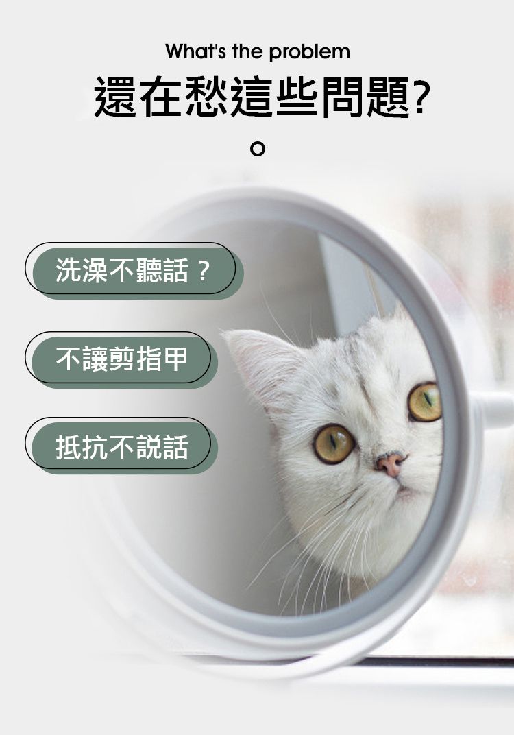Whats the problem還在愁這些問題?洗澡不聽話?不讓剪指甲抵抗不說話