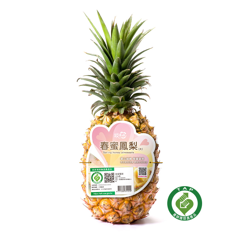 履歷大春蜜鳳梨1.5k/支-PDC