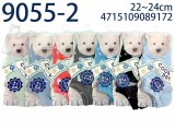 【校友會商城】-【9055 涼感紗緹花隱形襪積分+現金只要81元】